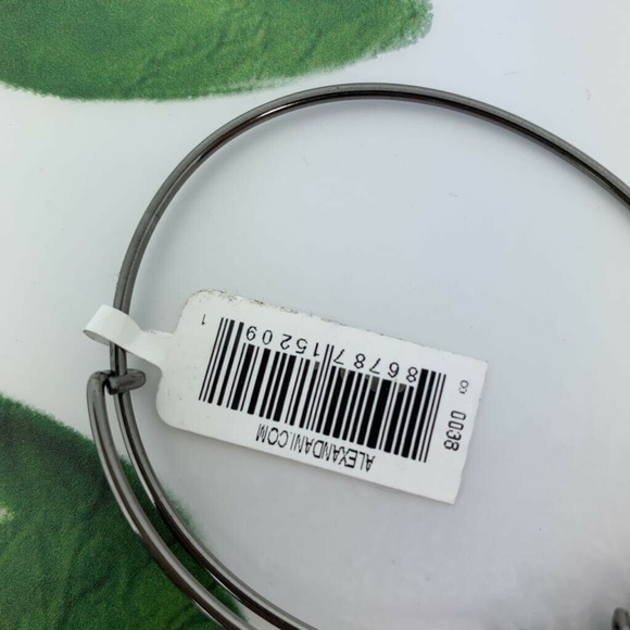 Alex and Ani Stay Grounded Charm Bangle Bracelet - Picture 6 of 8